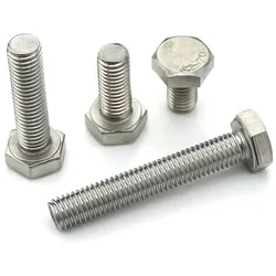 Schrauben-Set Sechskant M6x50 verzinkt (x100)