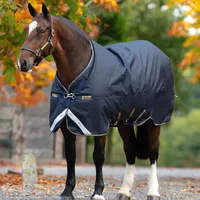 Horseware Amigo Bravo 12 XL Original Turnout Medium 250g