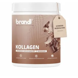 brandl nutrition Kollagen Pulver Schokolade 550 g