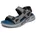 SD Grau 43