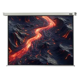 Celexon Motor Professional 300x225 4:3