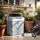 Tectake Elektrische Kühlbox 25 l