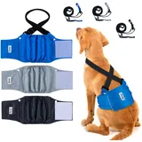 Dono Wiederverwendbar Hundewindeln für Rüden, Hunde Windeln, Rüdenwindeln, waschbare Windeln für Hunde, super saugfähige Rüdebinde für Inkontinenz, Reisen, Markierungsprobleme, XS, S, M, L, XL, XXL