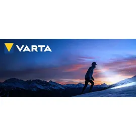 Varta AA 2960 mAh 12 St.
