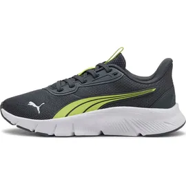 Puma FlexFocus Lite Modern Kinder Grau/Weiß 39