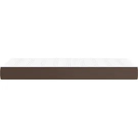 vidaXL Taschenfederkernmatratze Braun 100x200x20 cm Kunstleder
