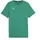 Teamgoal Casuals Tee Jr sport green-puma white 116