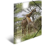 Herma Sammelmappe Tiere A3 giraffe