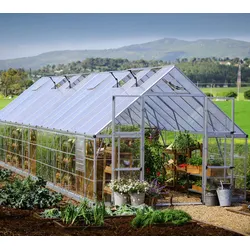 Palram - Canopia Aluminium Gewächshaus Balance 1032 | Silber | 964x304x257 cm