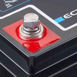 Ective LC 100L Versorgungsbatterie 17,5 x 19 cm Schwarz