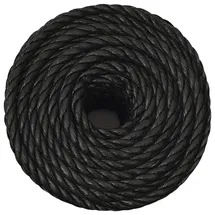 vidaXL Arbeitsseil Schwarz 10 mm 500 m