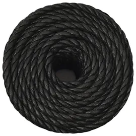 vidaXL Arbeitsseil Schwarz 10 mm 500 m