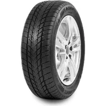 Davanti Wintoura 165/70 R14 81T