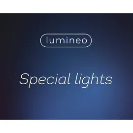 Lumineo LED Lichterkette 10 m Schwarz