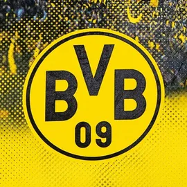 BVB Borussia Dortmund BVB Fleecedecke mit Stadionprint 150x200cm