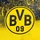 BVB Borussia Dortmund BVB Fleecedecke mit Stadionprint 150x200cm