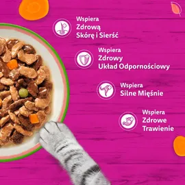 Whiskas Tasty Mix Auswahl des Küchenchefs 40 x 85 g