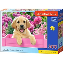 Castorland Labrador Puppy in Pink Box,Puzzele 300 T