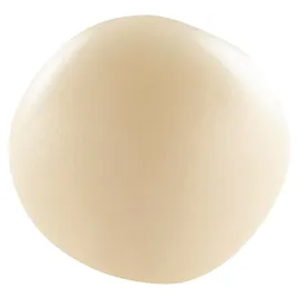 Cernit CEASS003C Set mit 12 Farben Ofenhärtende Polymer-Modelliermasse à 25g