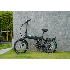 DOCGREEN E-Faltrad 20" Urbanbike (Laufradgröße: 20 Zoll, Rahmenhöhe: 30 cm, Unisex-Rad, 252 Wh, Schwarz)