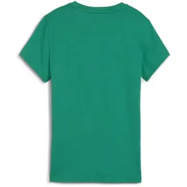 Puma teamGOAL Casuals T-Shirt grün L