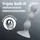 Satisfyer Triple Ball-R, 18 cm, grau