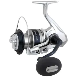Shimano Saragosa SW A 6000 HG, Silber, Dunkelblau