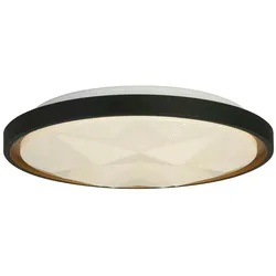 Licht-Erlebnisse Deckenleuchte LOUTRAS Schwarz, Weiß, Stahl, Kunststoff LE120945