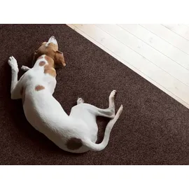 Primaflor Sauberlauf PICOLLO Braun 1,00m x 5,50m