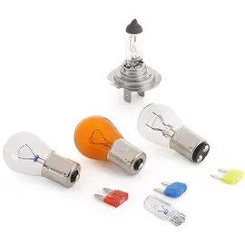 Philips Essential Box H7