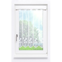 Scheibengardine von Lysel - Seegras #1W (BxH) 90cm * 90cm Weiß