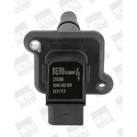 BorgWarner (Beru) Zündspule