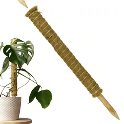 Erweiterbare Pflanzenstütze mit Kokosfilz – Nachhaltige Rankhilfe 60 cm