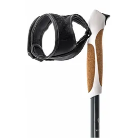 witeblaze Nordic Carbon Vario 105-135 cm grün