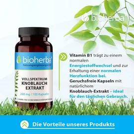 Bioherba Knoblauch Kapseln 260 mg 100 St.