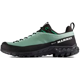 Mammut Alnasca IV Low GTX Schuhe (Größe 43 - grau)