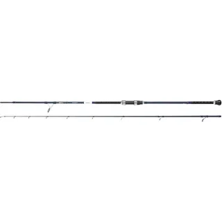 Shakespeare Salt Xt Sea Spin 10FT 40-80g 2pcs