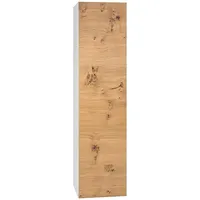 Evenes Hochschrank ELA mit Softclose, Korpus weiß seidenmatt, Front