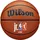 Wilson Jr. NBA Authentic Outdoor Basketball Multi 6