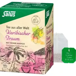 KARIBISCHER Traum Bio Salus Filterbeutel 15 St