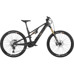 Rotwild R.E375 Pro Grau Modell Aktion