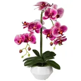creativ-green Gasper Orchidee Phalaenopsis, 52cm im Keramik-Topf, rosa