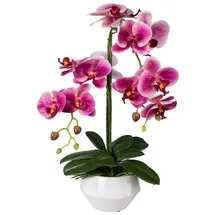 creativ-green Gasper Orchidee Phalaenopsis, 52cm im Keramik-Topf, rosa