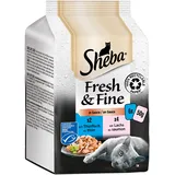 Sheba Fresh & Fine in Sauce - Hochwertiges Katzen Nassfutter - Lachs und Thunfisch (MSC) - Für die tägliche Abwechslung im extra kleinen Portionsbeutel - 36 x 50g