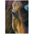 needleart world (hong kong) ltd. Diamond Painting Pferd braun