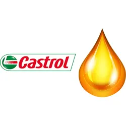 Castrol Magna 220 lose Ware