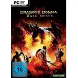 Dragon's Dogma: Dark Arisen (PC)