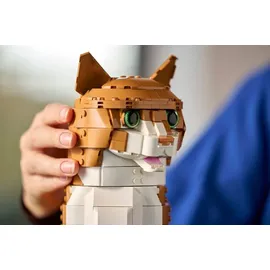LEGO Ideas Orangefarbene Katze 21376