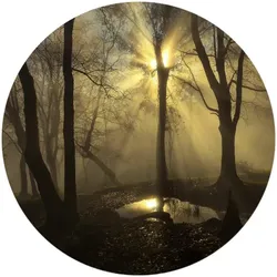 K&L Wall Art Vliestapete »Runde Vliestapete«, Cuadrado Wald Lichtung Natur, mehrfarbig, matt - bunt