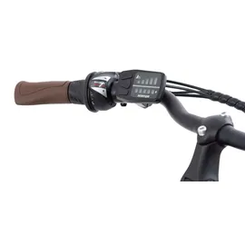 F.lli Schiano E-Ride 2023 28 Zoll RH 48 cm schwarz
